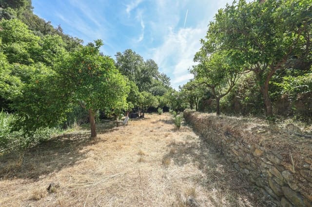 Landgrundstück zu verkaufen in Tolox - 68.000 € (Ref: 9891063)
