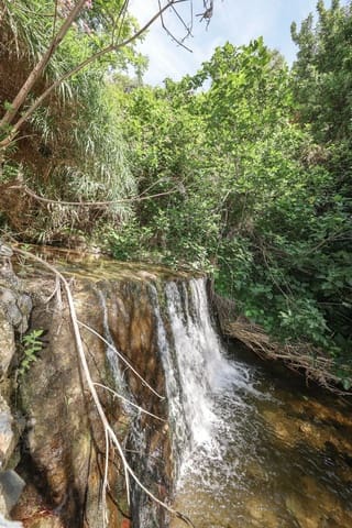 Landgrundstück zu verkaufen in Tolox - 68.000 € (Ref: 9891063)