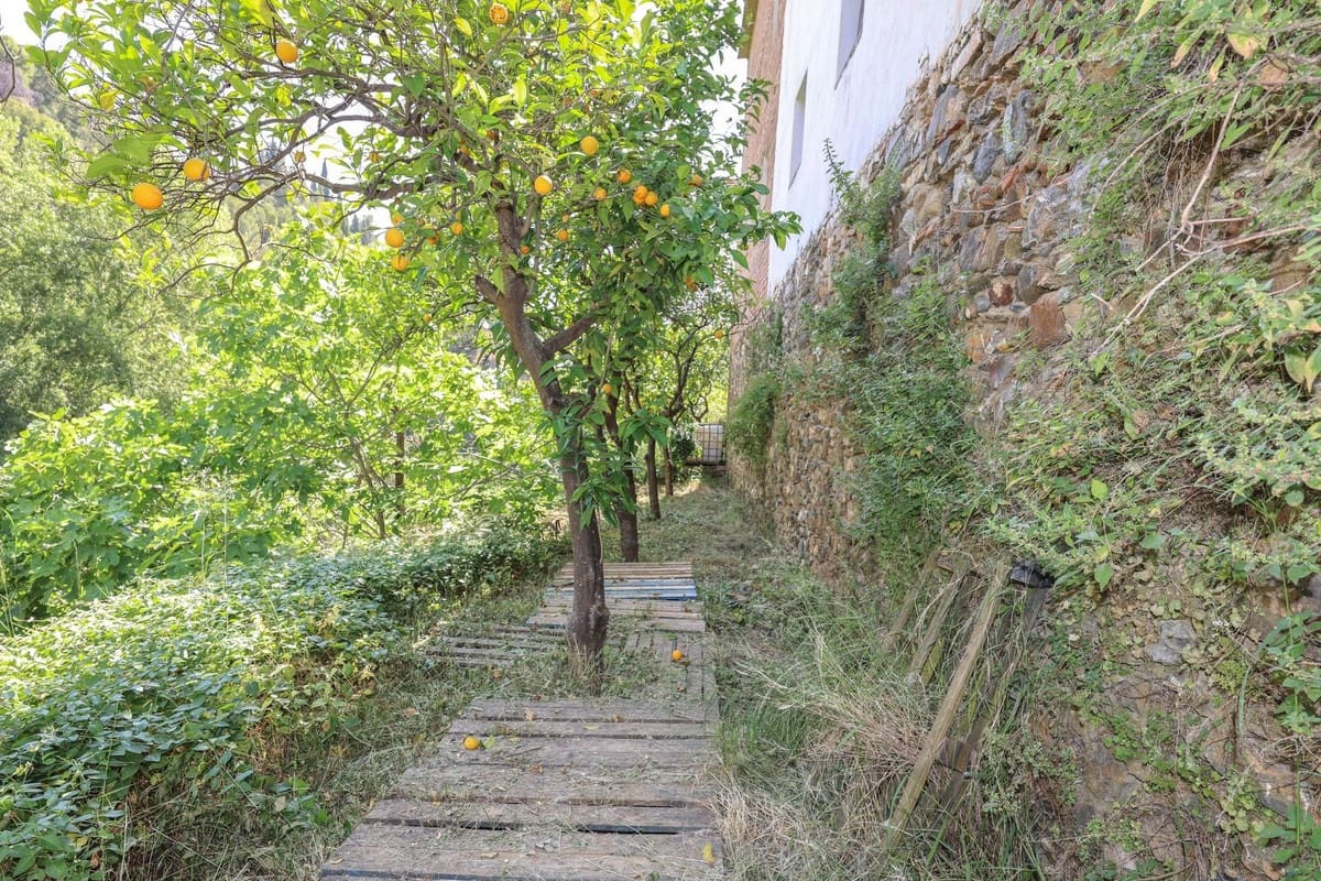 Landgrundstück zu verkaufen in Tolox - 68.000 € (Ref: 9891063)
