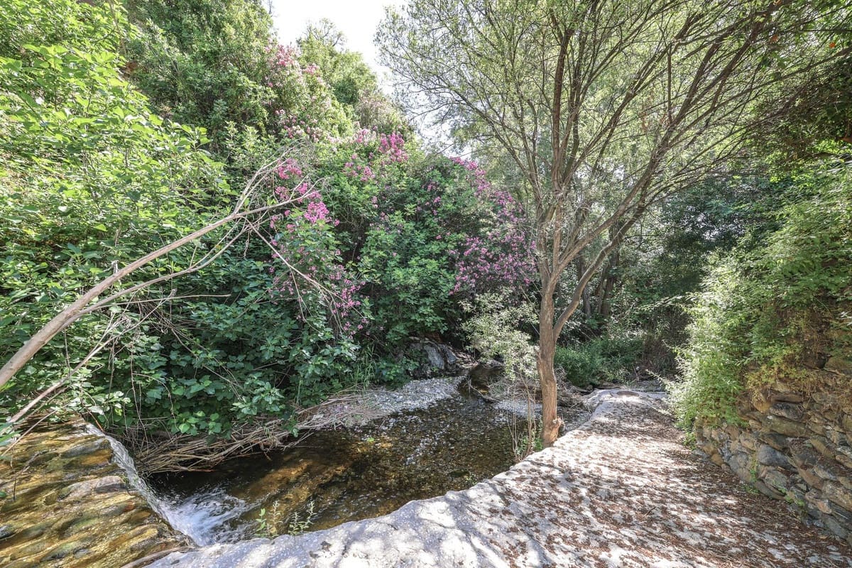 Landgrundstück zu verkaufen in Tolox - 68.000 € (Ref: 9891063)