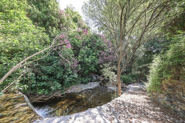 Landgrundstück zu verkaufen in Tolox - 68.000 € (Ref: 9891063)