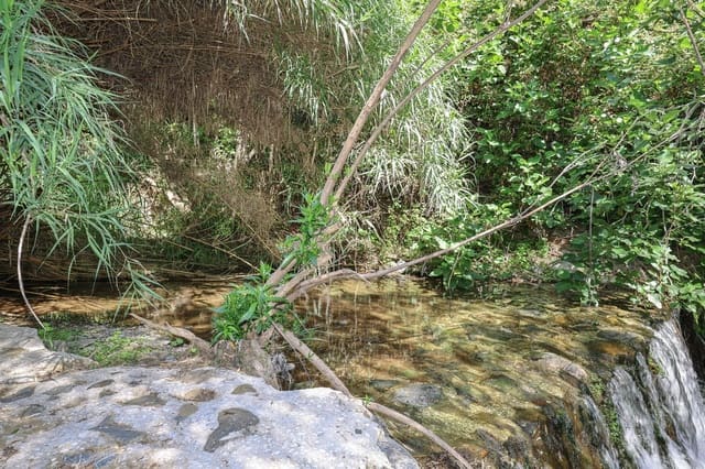 Landgrundstück zu verkaufen in Tolox - 68.000 € (Ref: 9891063)