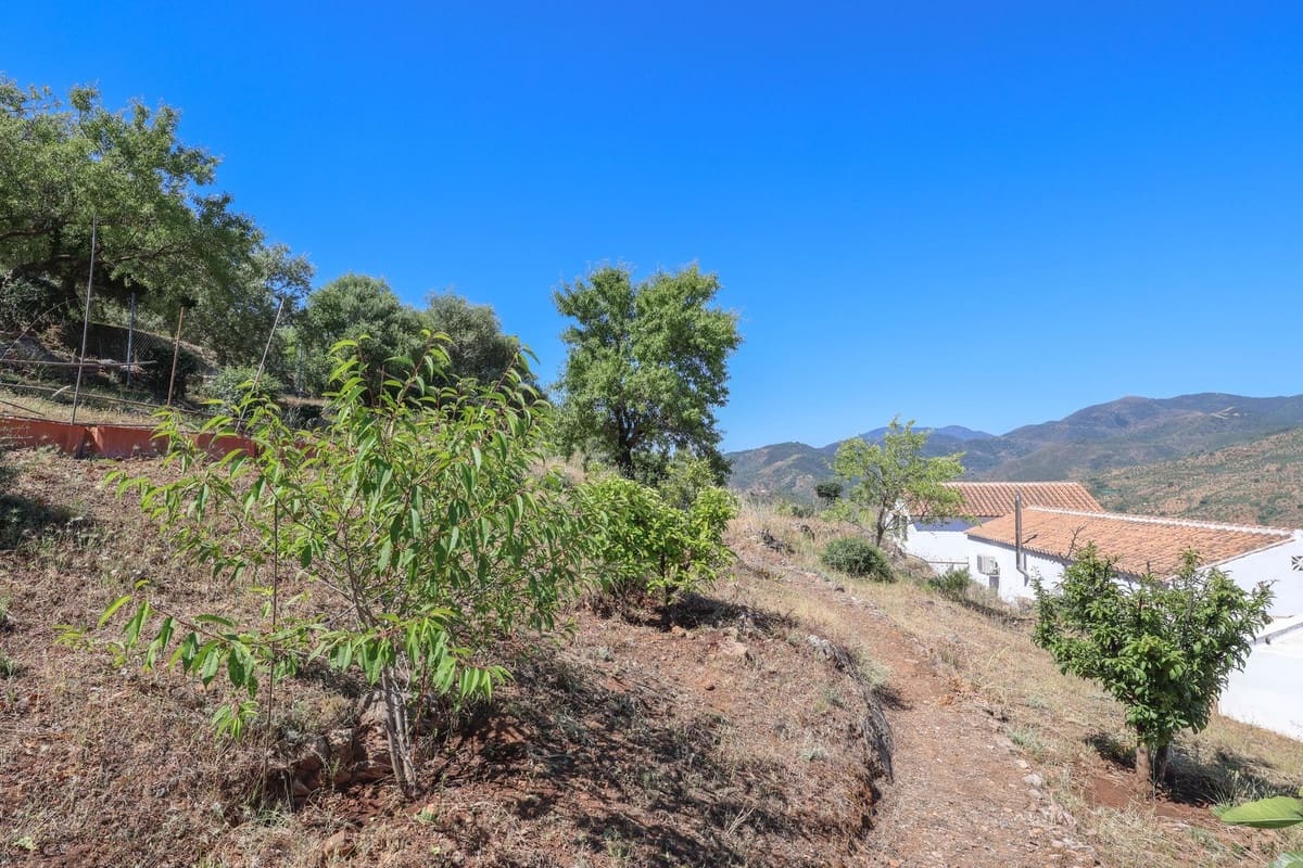 4 bedroom Villa for sale in Guaro with pool garage - € 2,075,000 (Ref: 9905091)