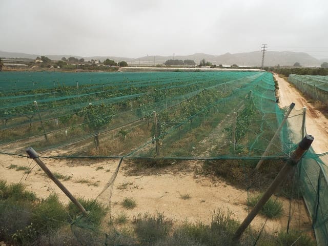 Grunde uden byggetilladelser til salg i Monforte del Cid - € 76.000 (Ref: 10006149)