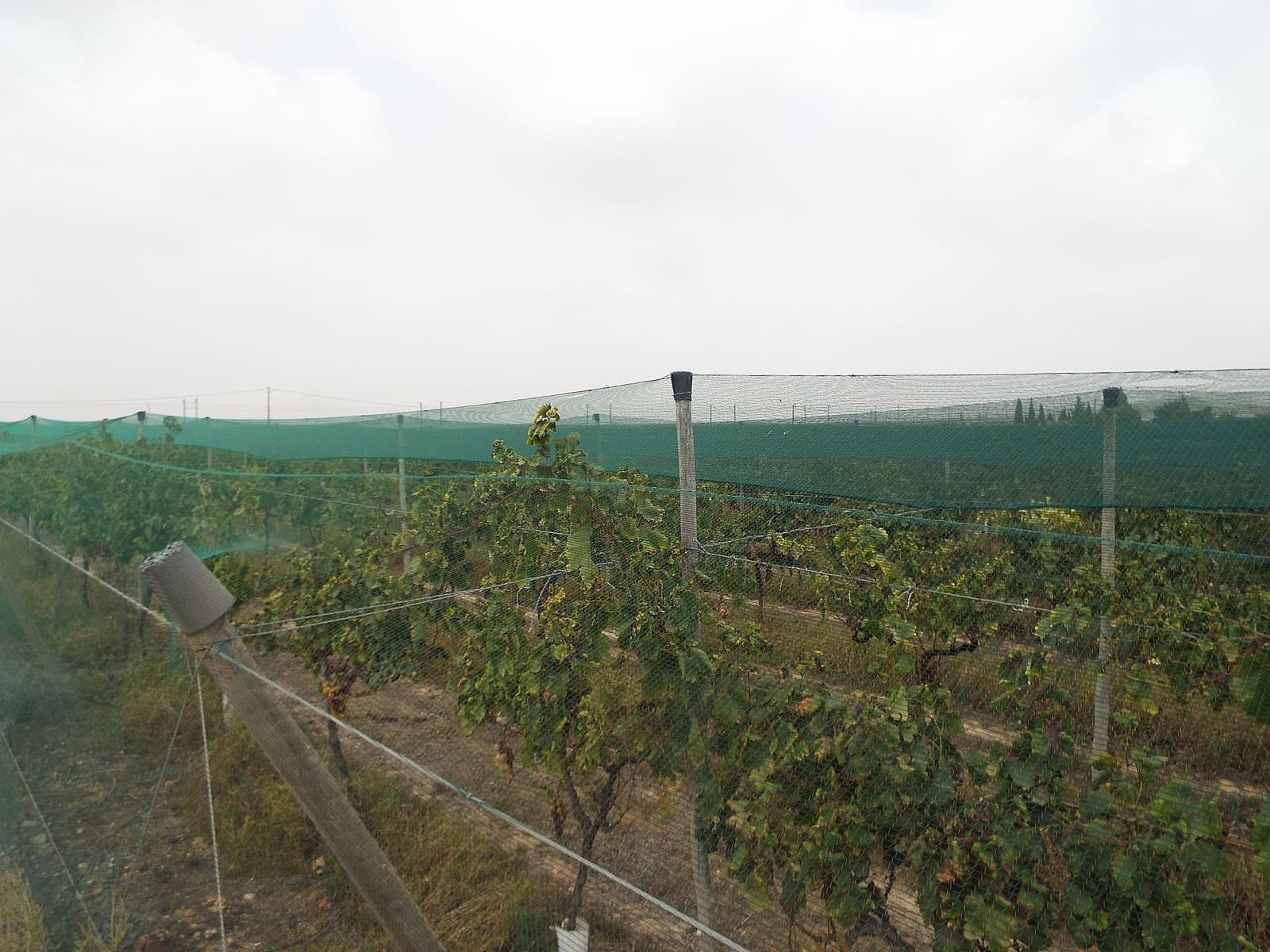 Grunde uden byggetilladelser til salg i Monforte del Cid - € 76.000 (Ref: 10006149)