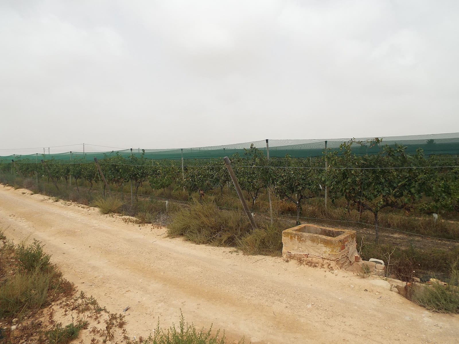 Grunde uden byggetilladelser til salg i Monforte del Cid - € 76.000 (Ref: 10006149)