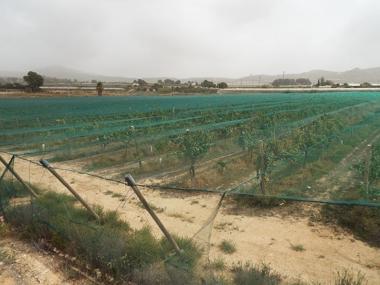 Grunde uden byggetilladelser til salg i Monforte del Cid - € 76.000 (Ref: 10006149)