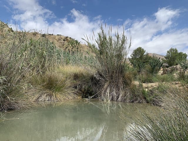 Finca/Casa Rural de 3 habitaciones en Macisvenda, Abanilla en venta - 29.950 € (Ref: 10006156)