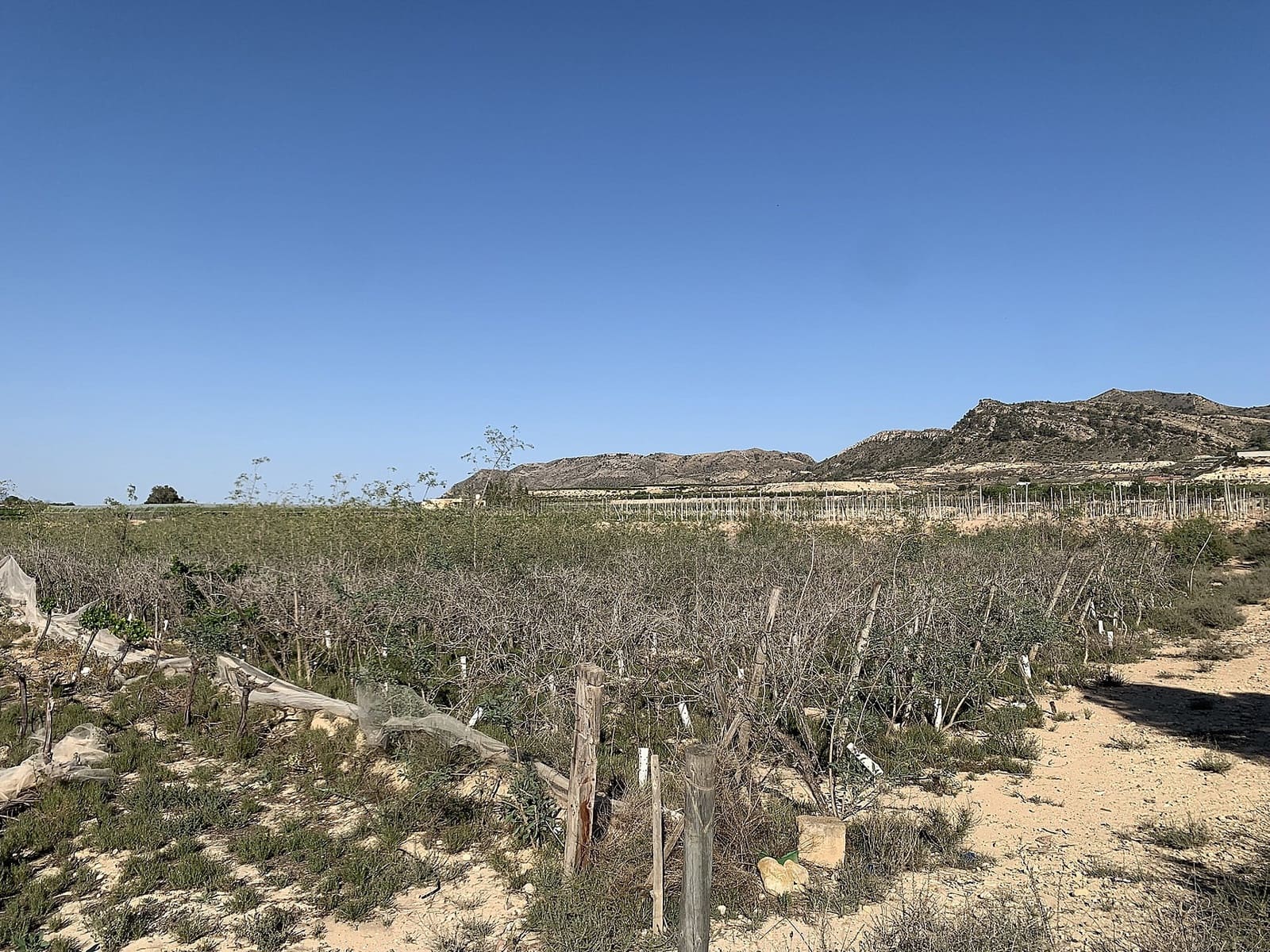 Grunde uden byggetilladelser til salg i Monforte del Cid - € 80.000 (Ref: 10006158)
