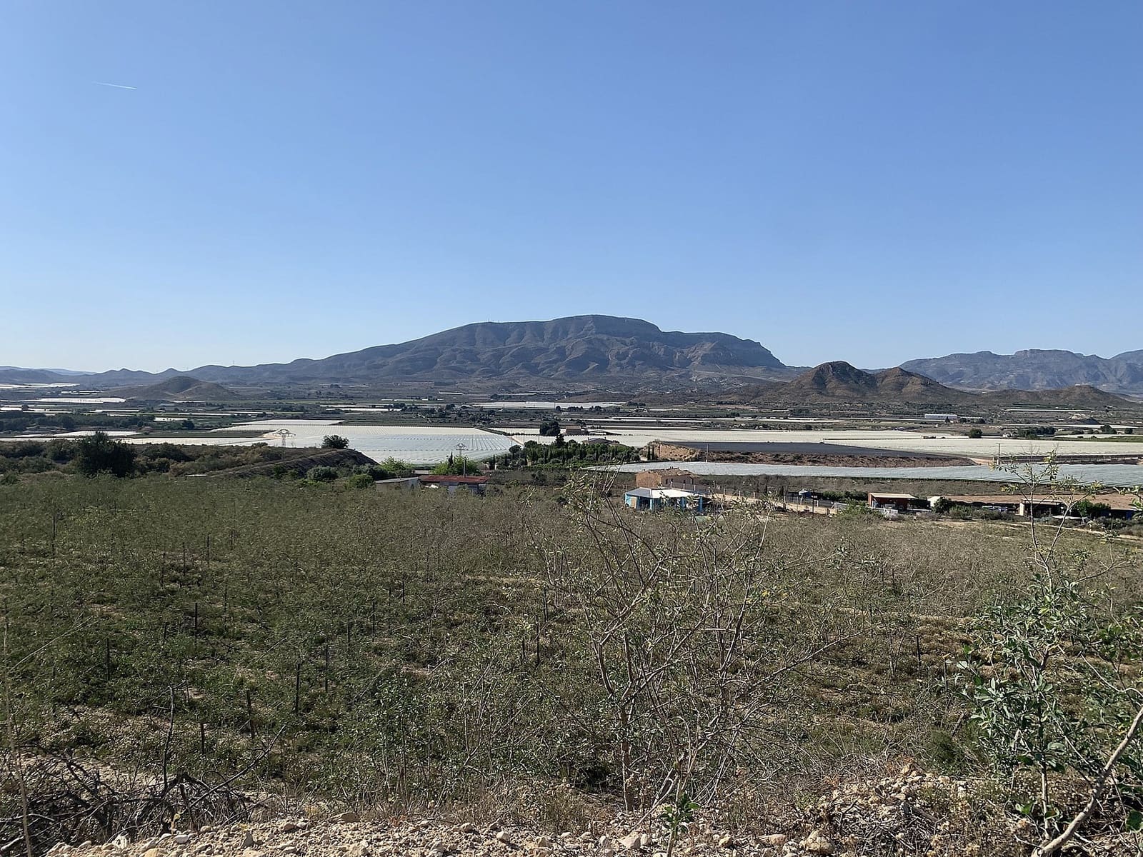 Terreno/Finca Rústica en Monforte del Cid en venta - 65.000 € (Ref: 10006159)