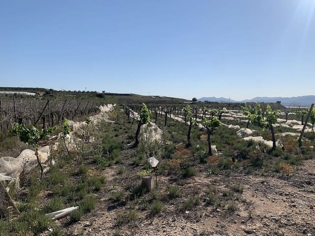 Grunde uden byggetilladelser til salg i Monforte del Cid - € 80.000 (Ref: 10008264)