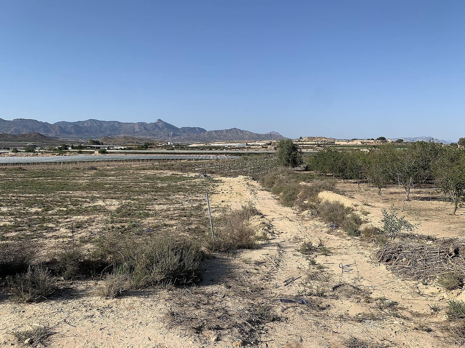 Grunde uden byggetilladelser til salg i Monforte del Cid - € 80.000 (Ref: 10008264)
