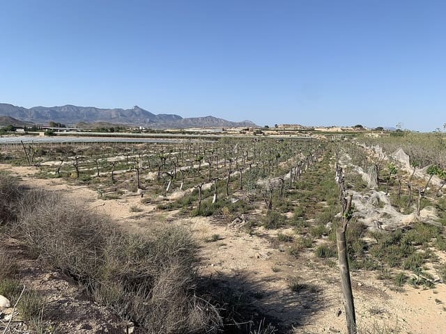 Grunde uden byggetilladelser til salg i Monforte del Cid - € 80.000 (Ref: 10008264)