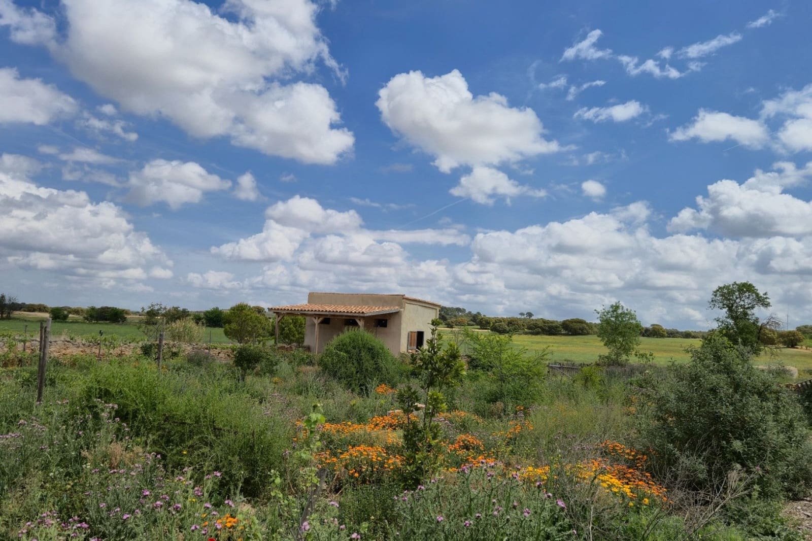5 camera da letto Commerciale in vendita in Almansa con piscina garage - 749.000 € (Rif: 10031418)