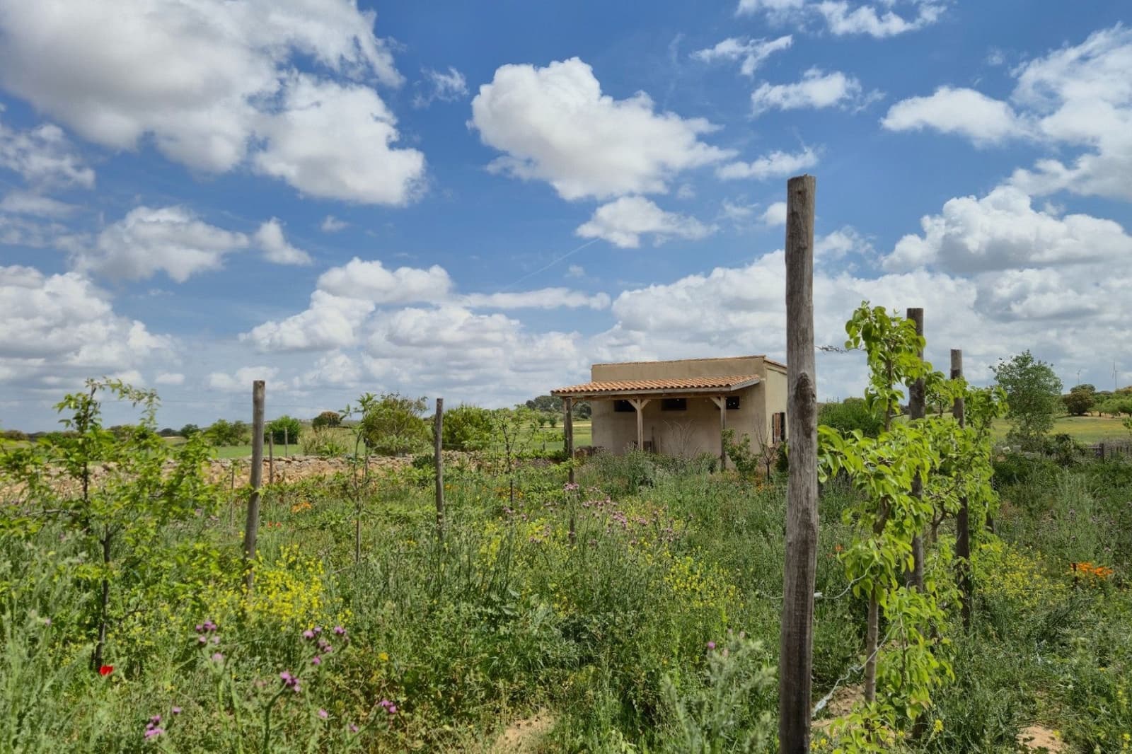 5 camera da letto Commerciale in vendita in Almansa con piscina garage - 749.000 € (Rif: 10031418)