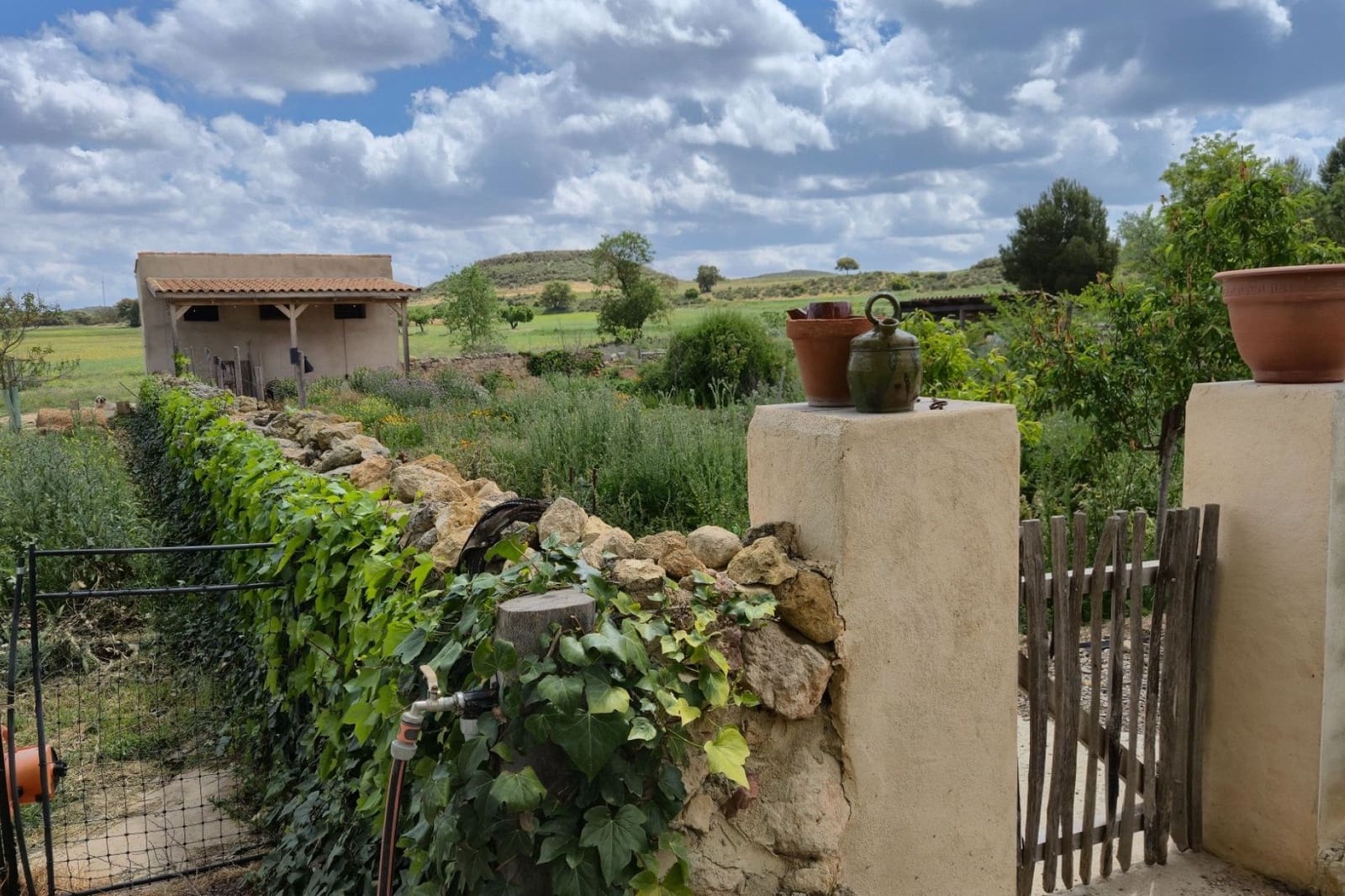5 camera da letto Commerciale in vendita in Almansa con piscina garage - 749.000 € (Rif: 10031418)