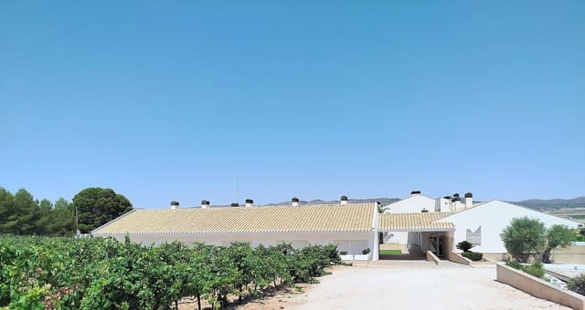 11 camera da letto Finca/Casa di Campagna in vendita in Yecla - 1.700.000 € (Rif: 10031420)