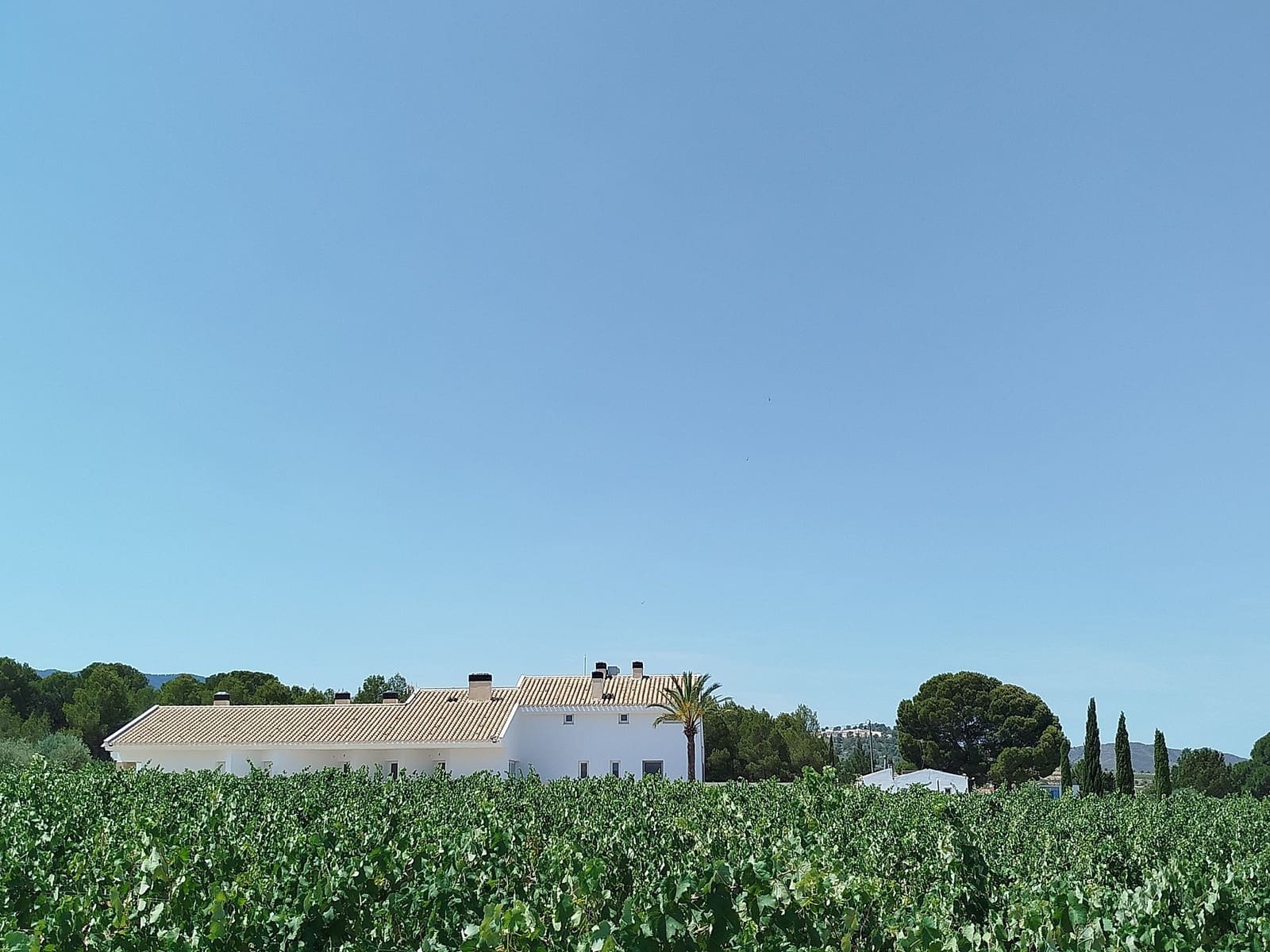 11 camera da letto Finca/Casa di Campagna in vendita in Yecla con piscina - 1.700.000 € (Rif: 10031420)