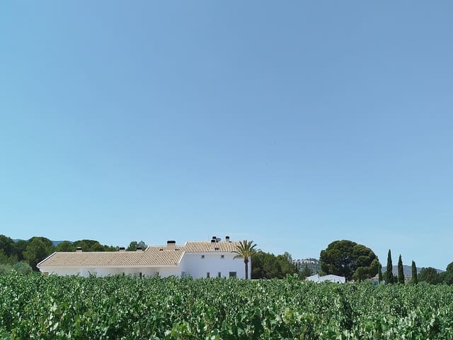 11 camera da letto Finca/Casa di Campagna in vendita in Yecla - 1.700.000 € (Rif: 10031420)