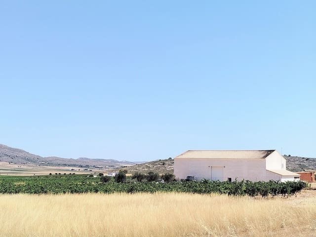 11 camera da letto Finca/Casa di Campagna in vendita in Yecla - 1.700.000 € (Rif: 10031420)