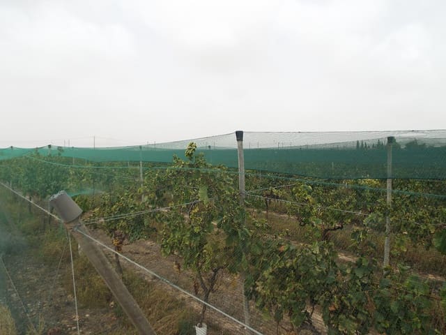 Grond te koop in Monforte del Cid - € 76.000 (Ref: 10037810)