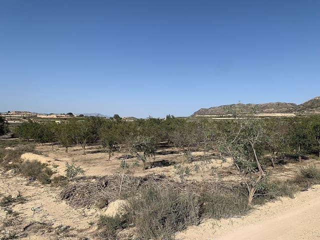 Grond te koop in Monforte del Cid - € 80.000 (Ref: 10037818)