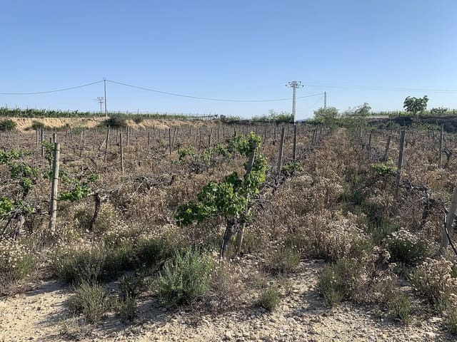 Grunde uden byggetilladelser til salg i Monforte del Cid - € 65.000 (Ref: 10037819)