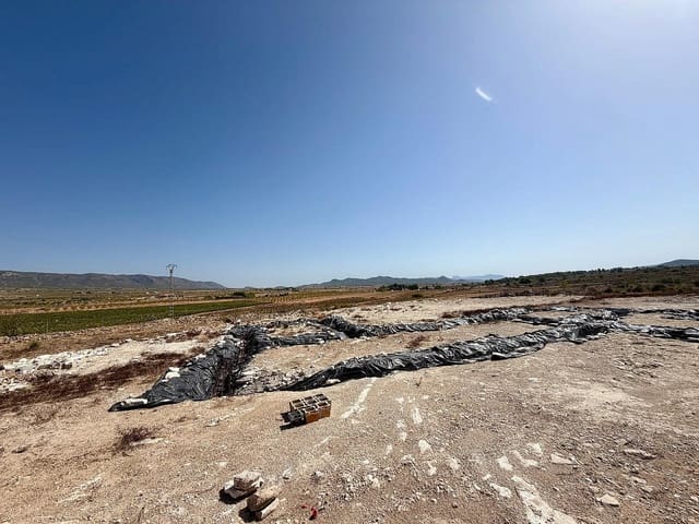 Terreno Não Urbanizado para venda em Lel, Pinoso - 75 000 € (Ref: 10046787)