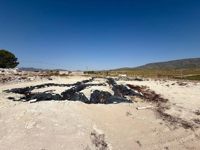 Terreno Não Urbanizado para venda em Lel, Pinoso - 75 000 € (Ref: 10046787)