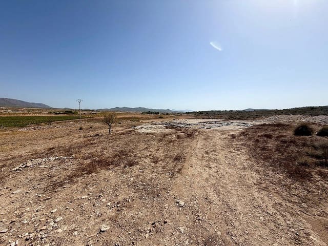 Terreno Não Urbanizado para venda em Lel, Pinoso - 75 000 € (Ref: 10046787)