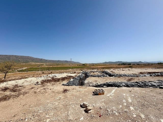 Terreno Não Urbanizado para venda em Lel, Pinoso - 75 000 € (Ref: 10046787)