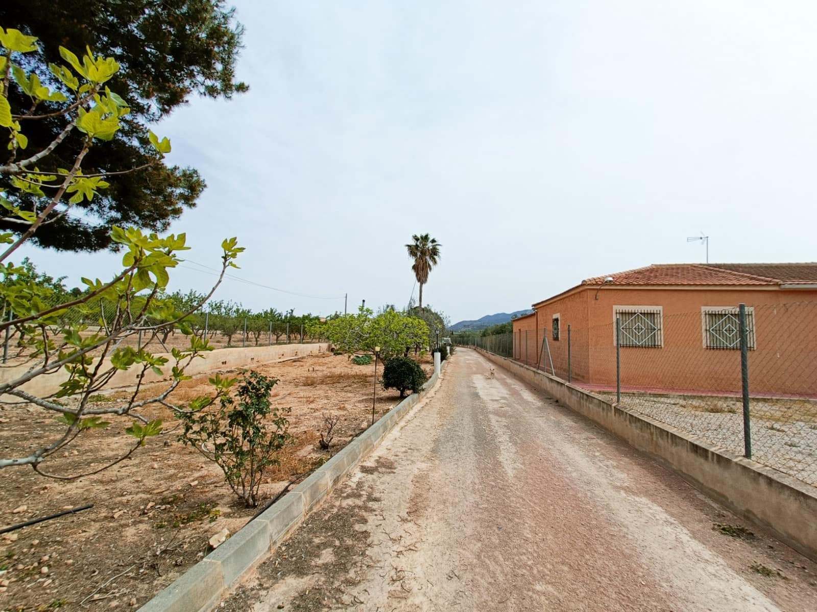 4 bedroom Villa for sale in Hondon de los Frailes with garage - € 180,000 (Ref: 10054606)