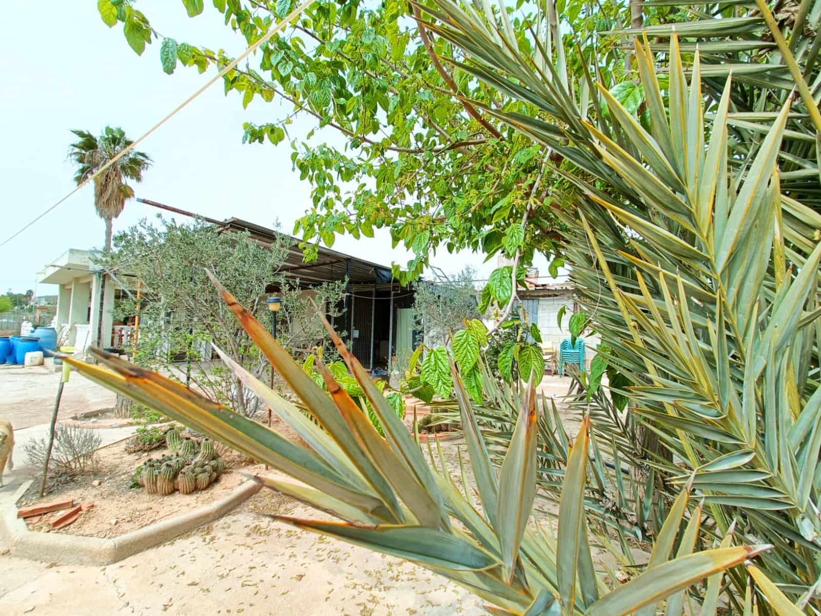 4 bedroom Villa for sale in Hondon de los Frailes with garage - € 180,000 (Ref: 10054606)