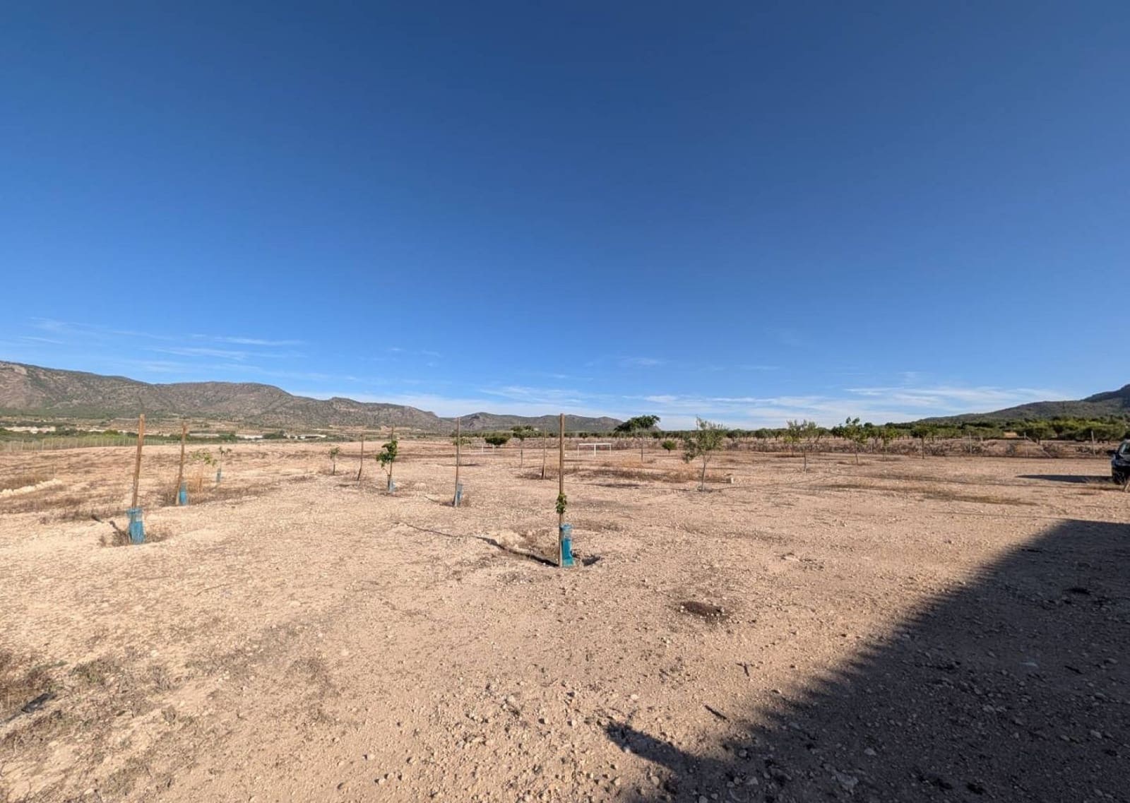 3 slaapkamer Finca/Landhuis te koop in Salinas - € 375.000 (Ref: 10077566)