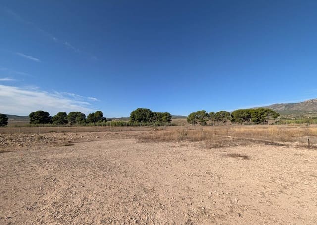 3 slaapkamer Finca/Landhuis te koop in Salinas - € 375.000 (Ref: 10077566)