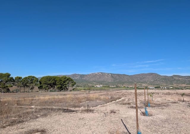3 slaapkamer Finca/Landhuis te koop in Salinas - € 375.000 (Ref: 10077566)