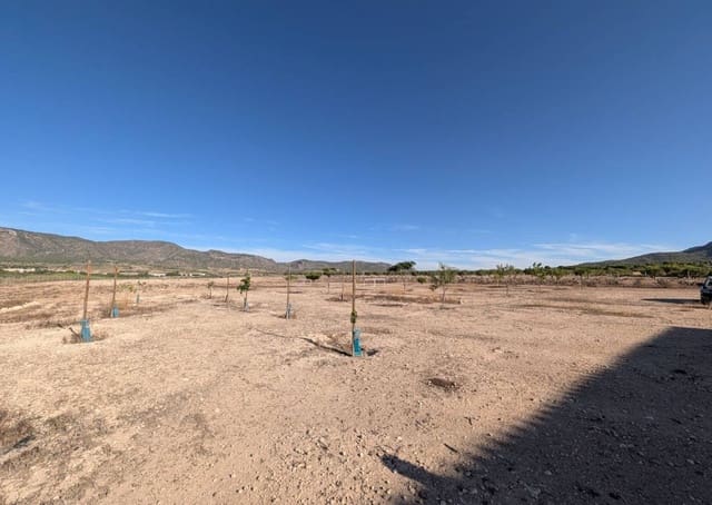 3 slaapkamer Finca/Landhuis te koop in Salinas - € 375.000 (Ref: 10077566)