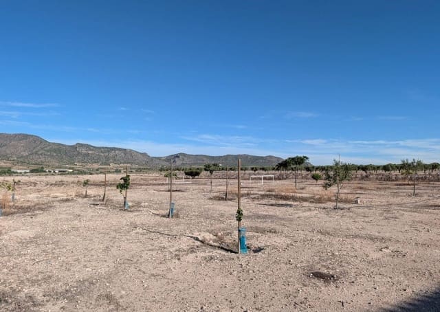 3 slaapkamer Finca/Landhuis te koop in Salinas - € 375.000 (Ref: 10077566)