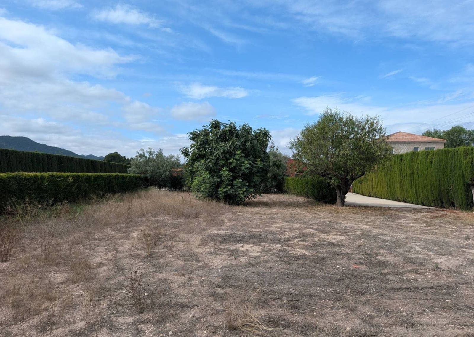 4 camera da letto Finca/Casa di Campagna in vendita in Sax con piscina garage - 399.995 € (Rif: 10141628)