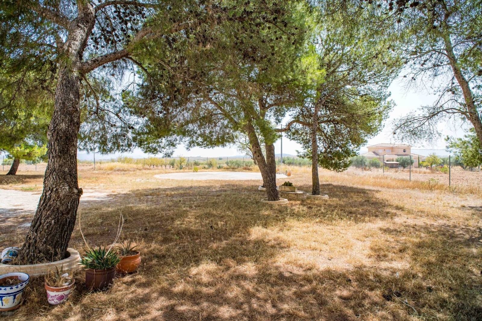 5 soveværelse Finca/Landehus til salg i Pinoso med garage - € 578.000 (Ref: 10166021)