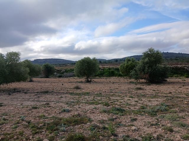 Terre non Aménagée à vendre à Yecla - 13 000 € (Ref: 10177603)
