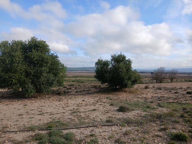 Terre non Aménagée à vendre à Yecla - 13 000 € (Ref: 10177603)