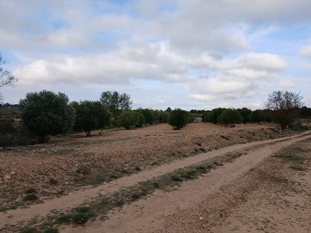 Terre non Aménagée à vendre à Yecla - 13 000 € (Ref: 10177603)