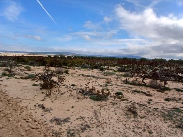 Terre non Aménagée à vendre à Yecla - 13 000 € (Ref: 10177603)