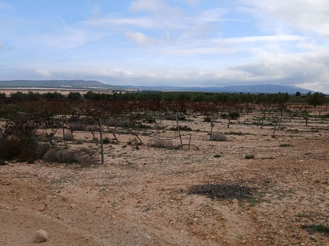 Terre non Aménagée à vendre à Yecla - 13 000 € (Ref: 10177603)