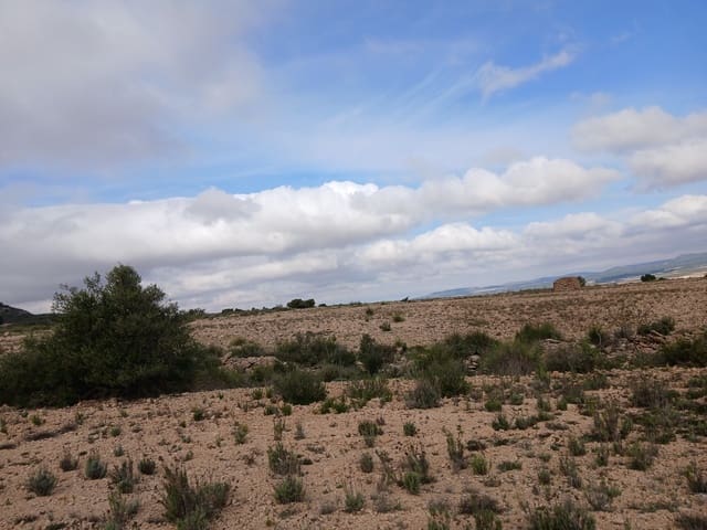 Grond te koop in Yecla - € 570.000 (Ref: 10177604)