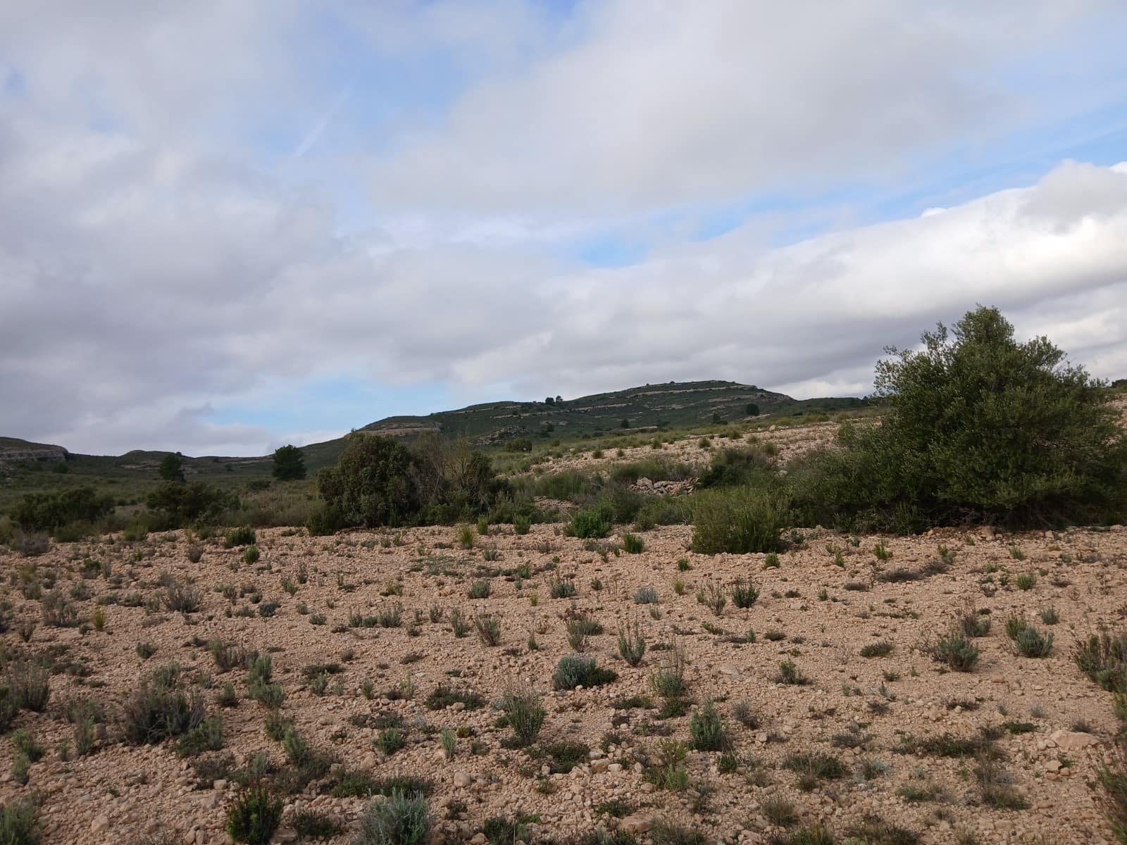 Grond te koop in Yecla - € 570.000 (Ref: 10177604)