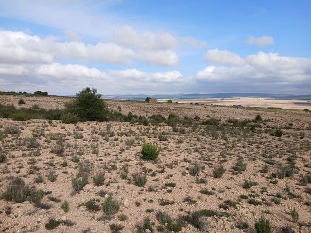 Grond te koop in Yecla - € 570.000 (Ref: 10177604)