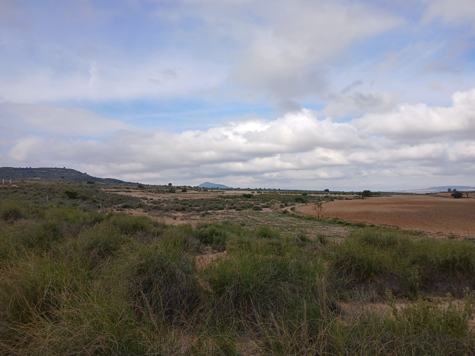 Grond te koop in Yecla - € 570.000 (Ref: 10177604)