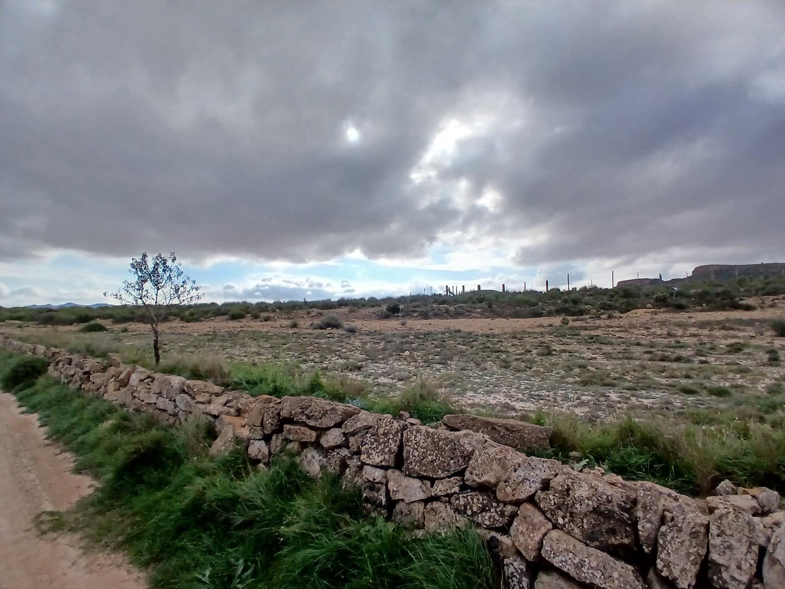 Grond te koop in Yecla - € 570.000 (Ref: 10177604)